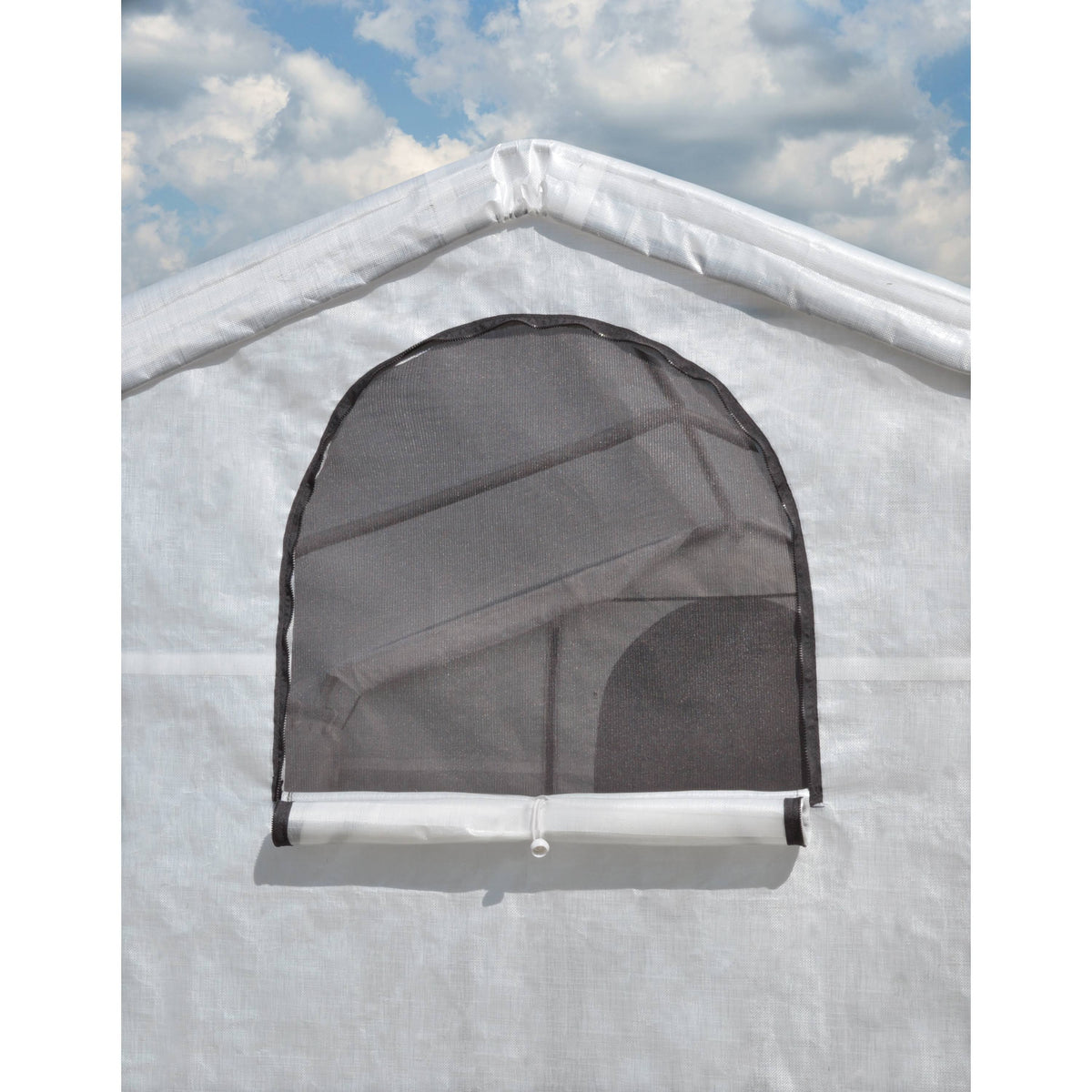 10 x 10 x 8 Greenhouse L39707