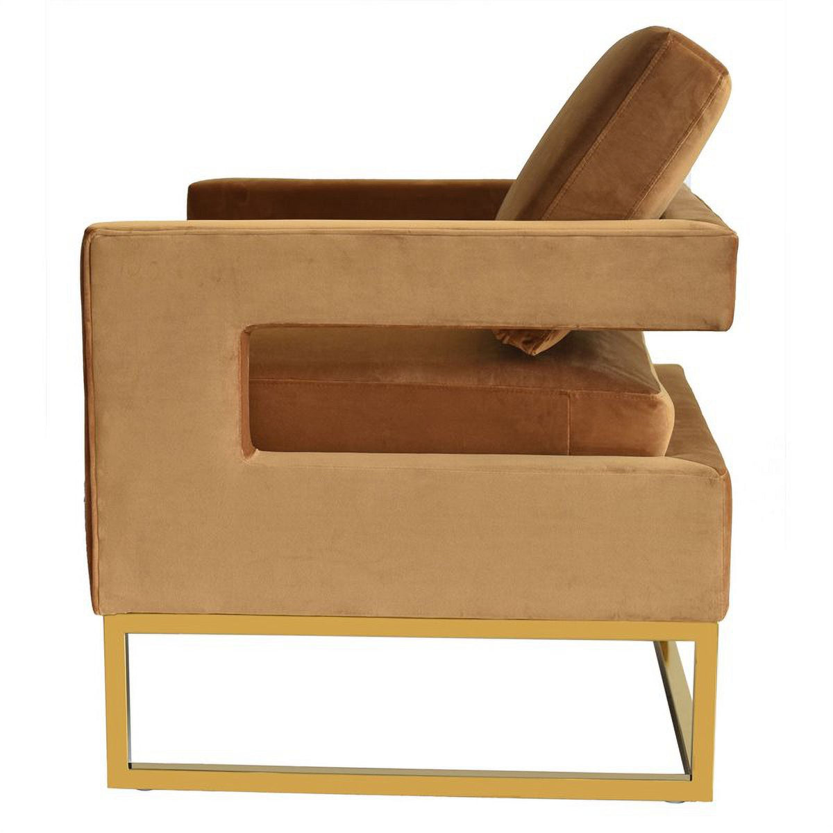 Velvet & Stainless Steel Accent Chair A3456